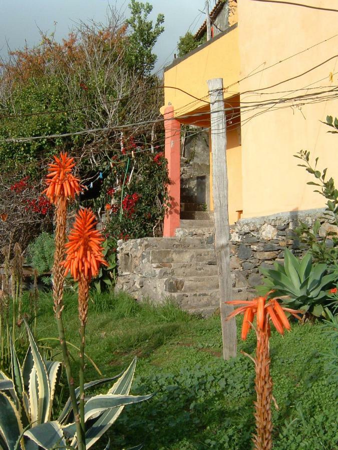 Madeira-Meerblick-Haus Estreito Da Calheta Exterior photo